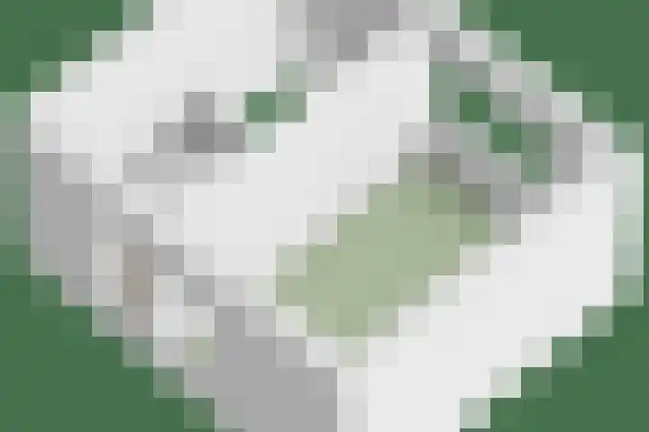 Zandschuit 33 Eindhoven thumbnail 58