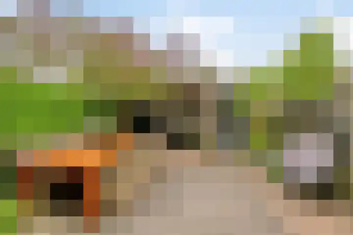 Zandschuit 33 Eindhoven thumbnail 6