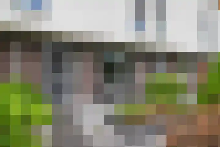 Zandschuit 33 Eindhoven thumbnail 9
