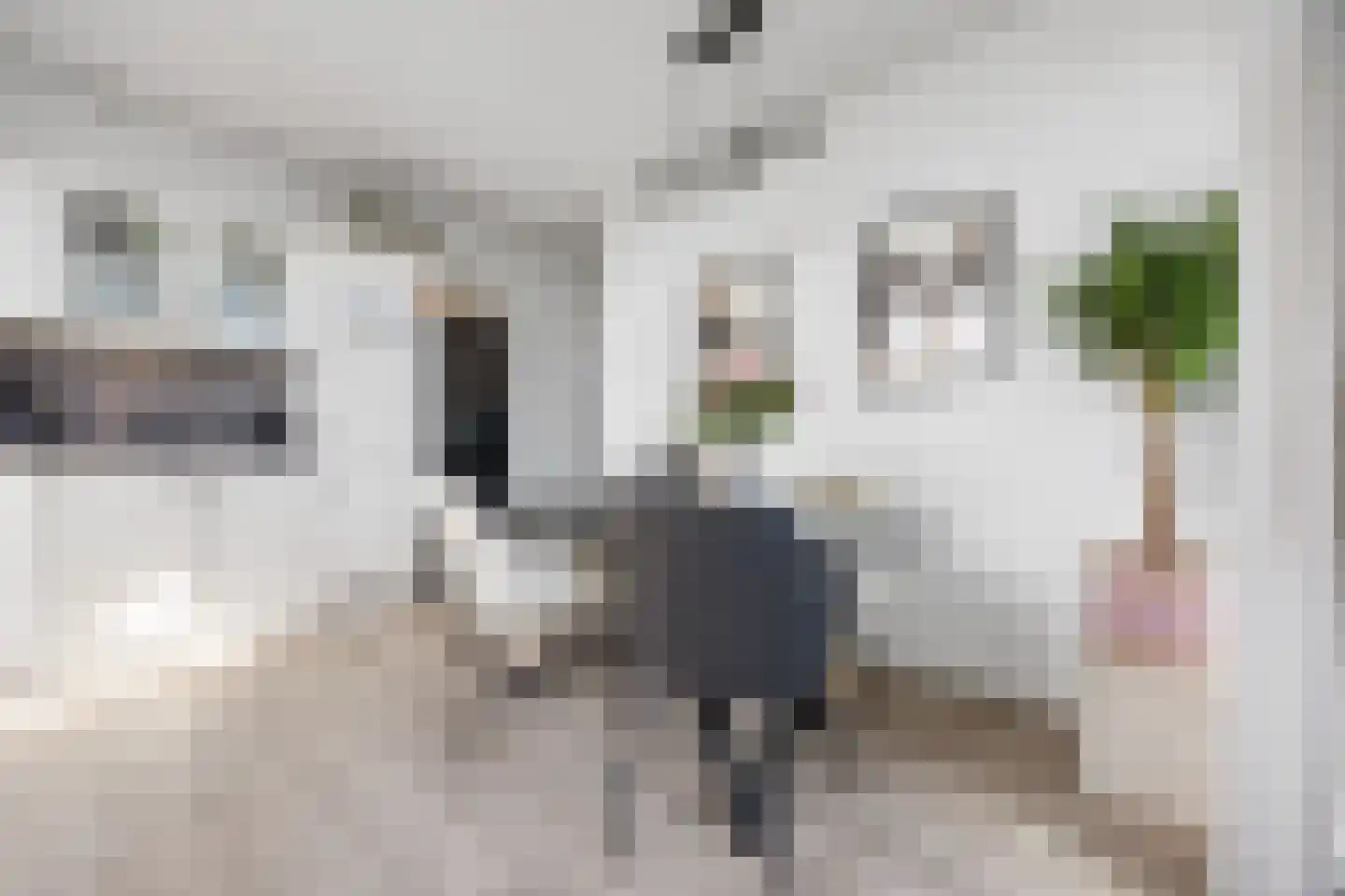 Zandsedwarsstraat 37 Huissen thumbnail 12