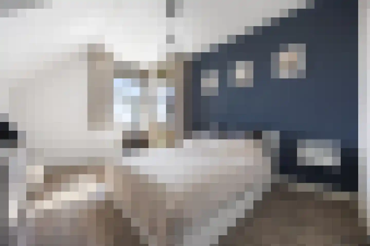 Zandsedwarsstraat 37 Huissen thumbnail 14
