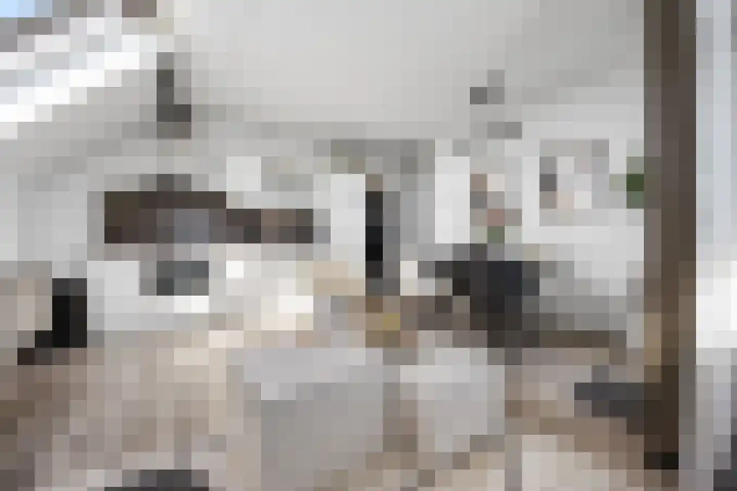 Zandsedwarsstraat 37 Huissen thumbnail 5