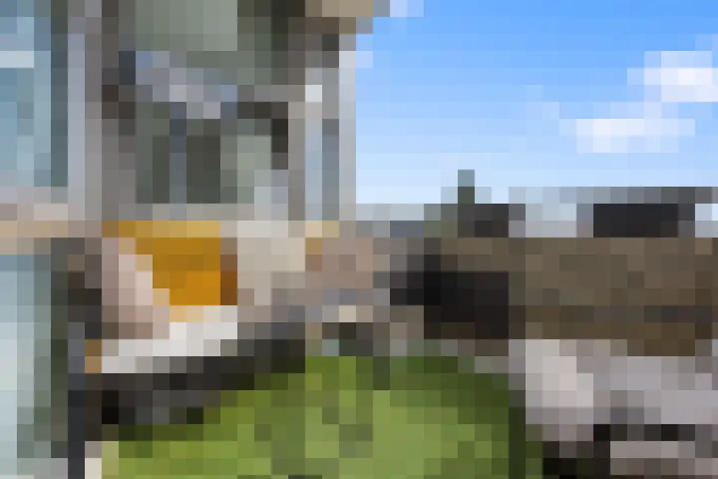 Zandsedwarsstraat 37 Huissen thumbnail 7