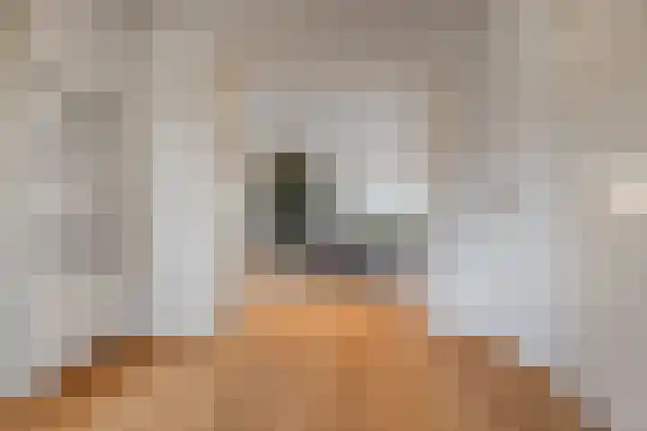 Zandsedwarsstraat 6 Huissen thumbnail 17