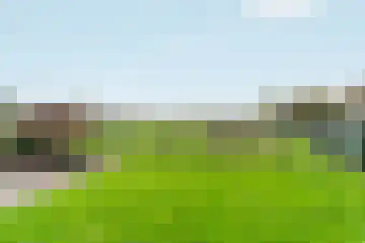 Zandsedwarsstraat 6 Huissen thumbnail 52