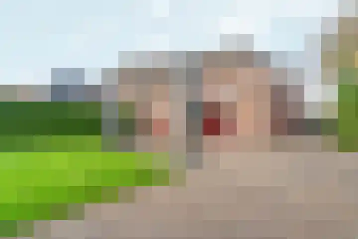 Zandsedwarsstraat 6 Huissen thumbnail 54