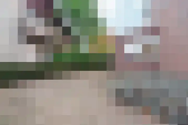 Zandsedwarsstraat 6 Huissen thumbnail 61