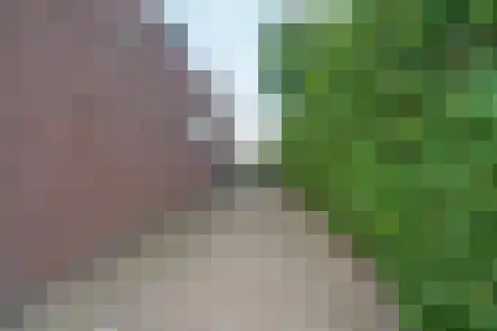 Zandsedwarsstraat 6 Huissen thumbnail 63