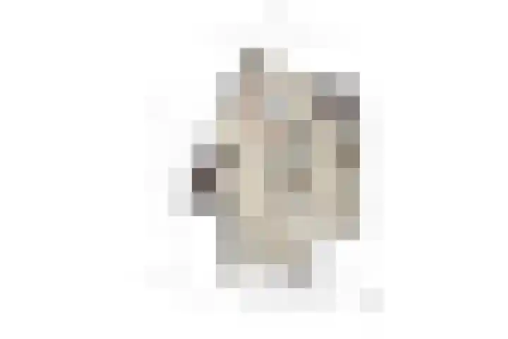 Zandsedwarsstraat 6 Huissen thumbnail 66