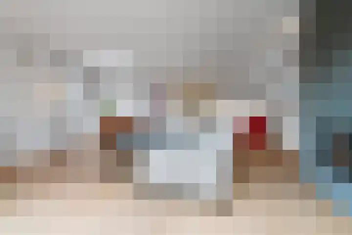 Zandsedwarsstraat 6 Huissen thumbnail 8