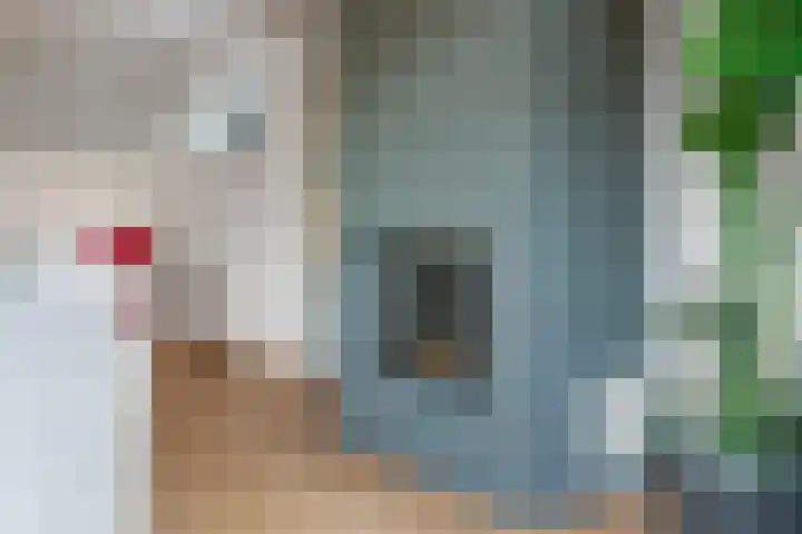 Zandsedwarsstraat 6 Huissen thumbnail 9