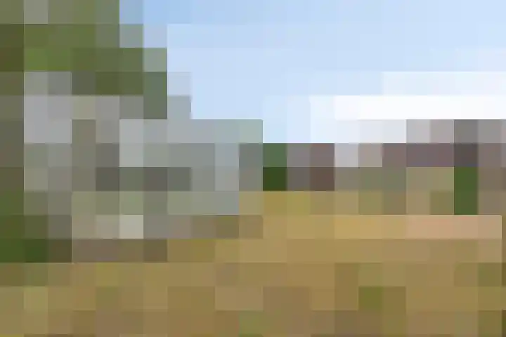 Zandsedwarsstraat 7 Huissen thumbnail 32