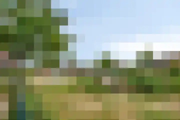 Zandsedwarsstraat 7 Huissen thumbnail 34