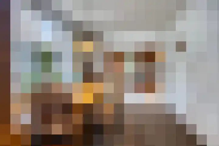 Zandsedwarsstraat 7 Huissen thumbnail 8