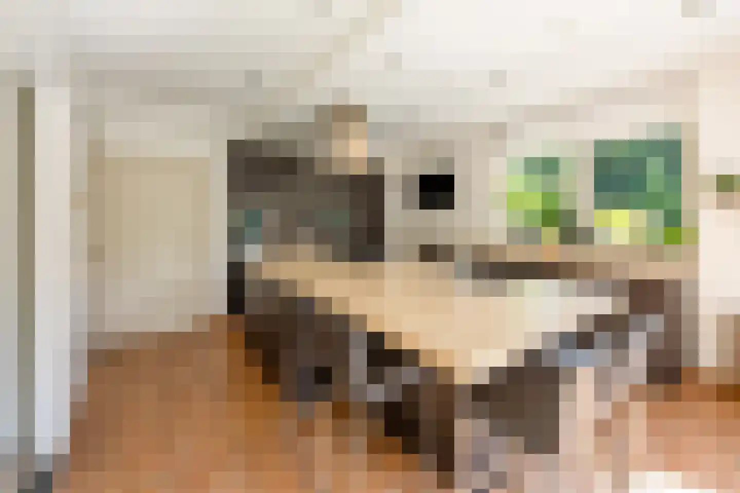Zandsehof 5 Well L thumbnail 20
