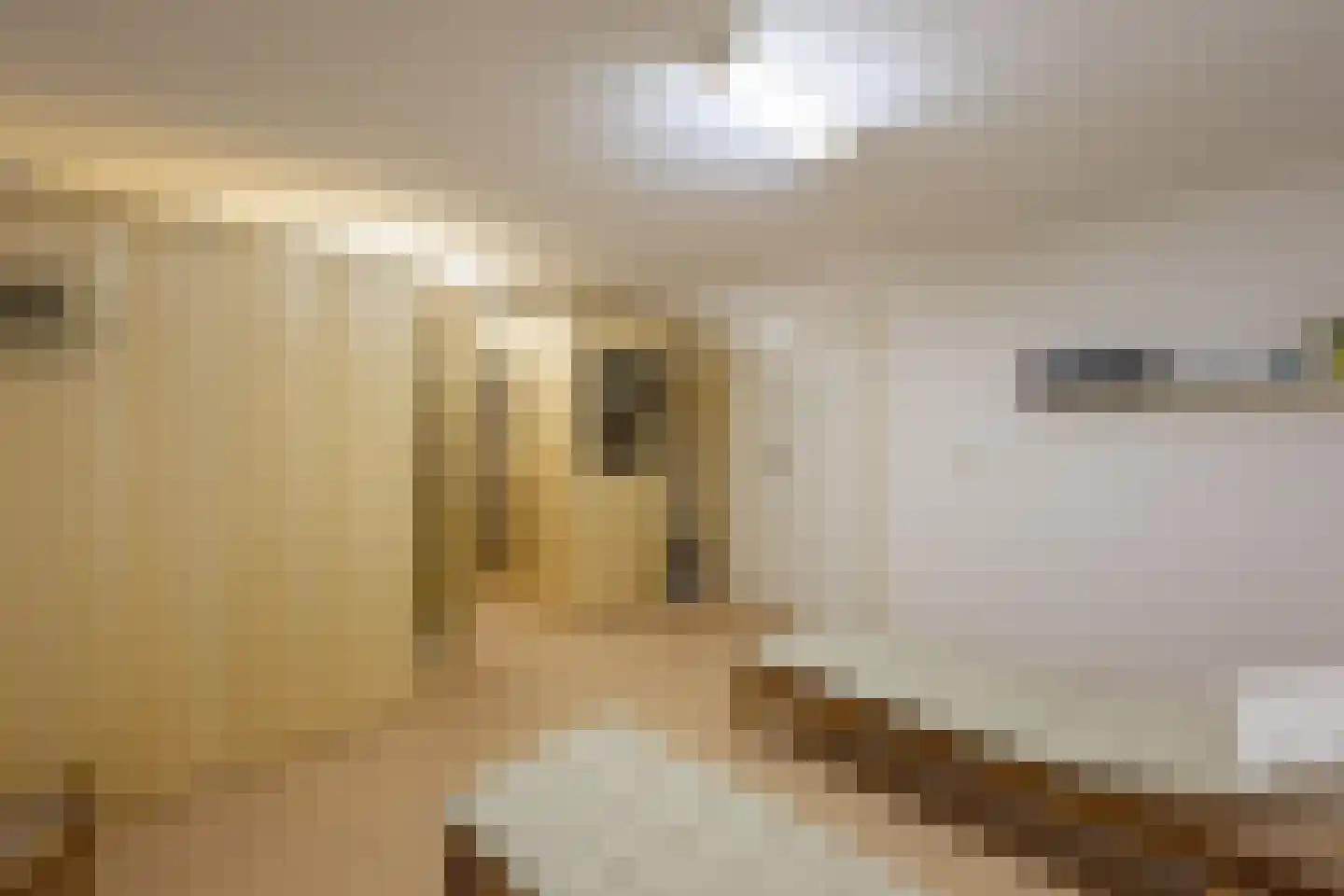 Zandsehof 5 Well L thumbnail 32