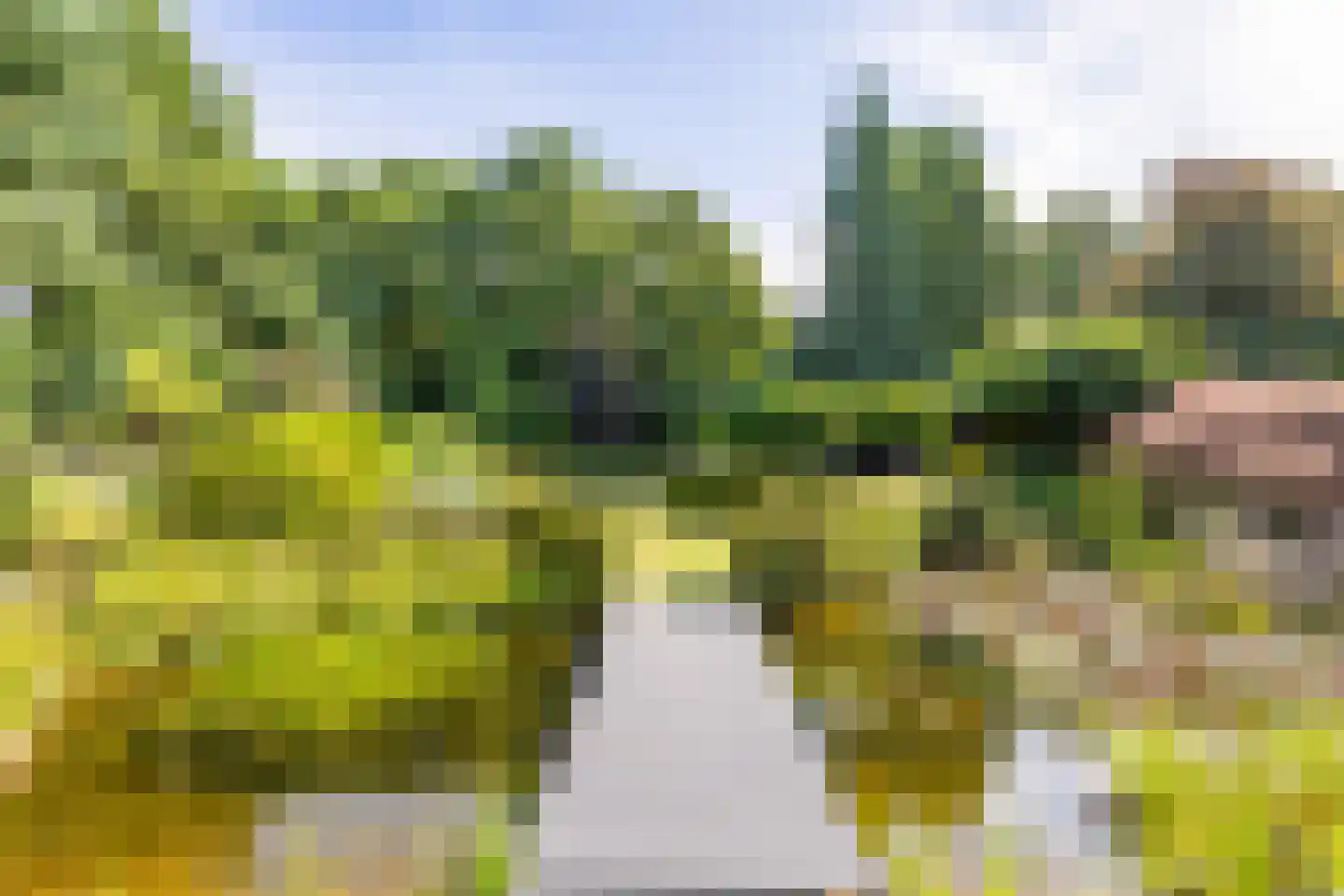 Zandsehof 5 Well L thumbnail 4