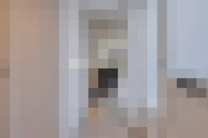 Zandseveldweg 6 Sint Anthonis thumbnail 11