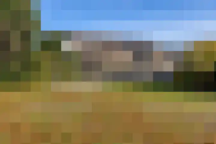 Zandseveldweg 6 Sint Anthonis thumbnail 33