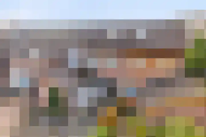 Zandseveldweg 6 Sint Anthonis thumbnail 6