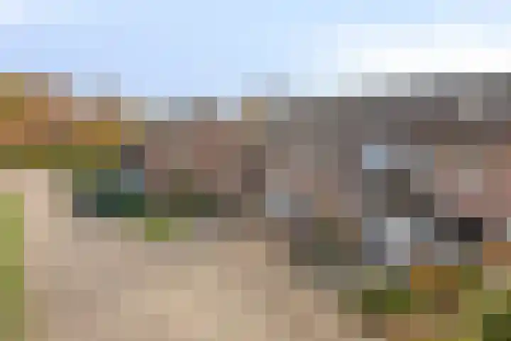 Zandseveldweg 6 Sint Anthonis thumbnail 7