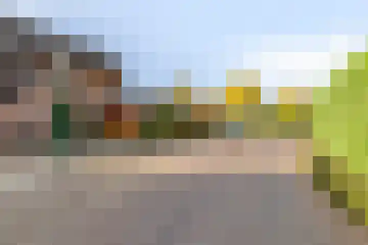 Zandseveldweg 6 Sint Anthonis thumbnail 8