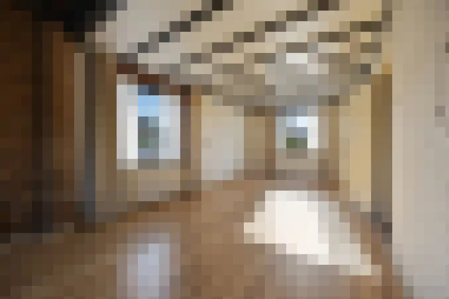 Zandsevoetpad 10 Huissen thumbnail 11
