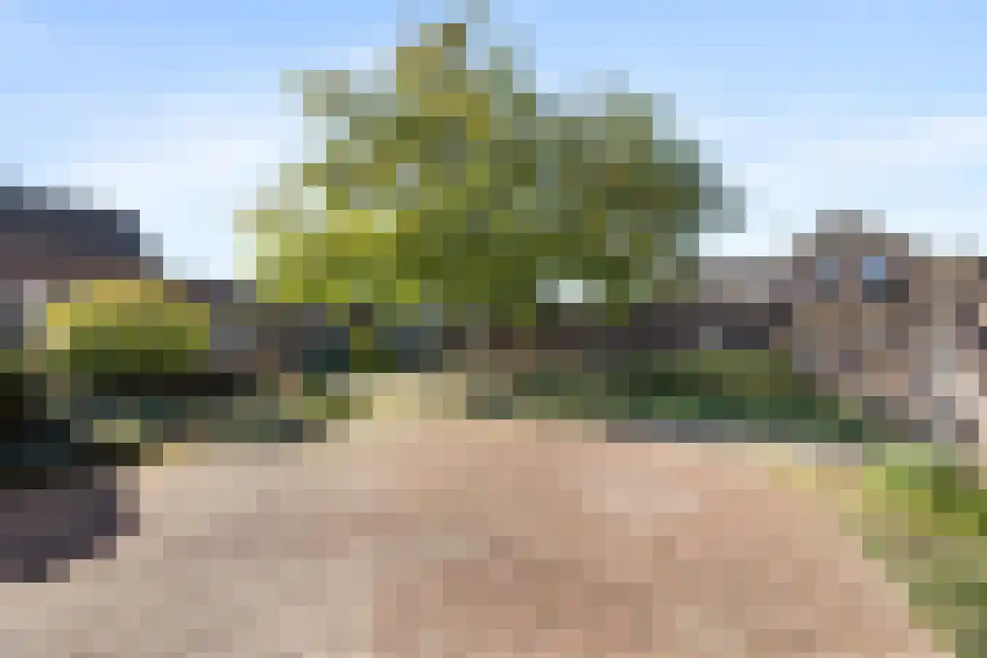 Zandsevoetpad 10 Huissen thumbnail 26