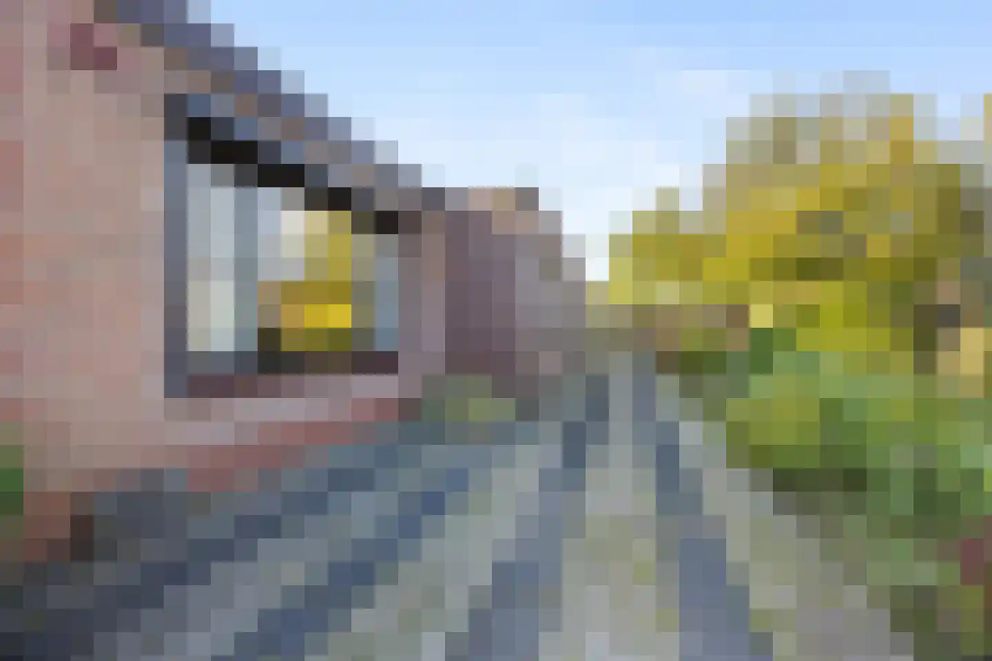 Zandsevoetpad 10 Huissen thumbnail 30