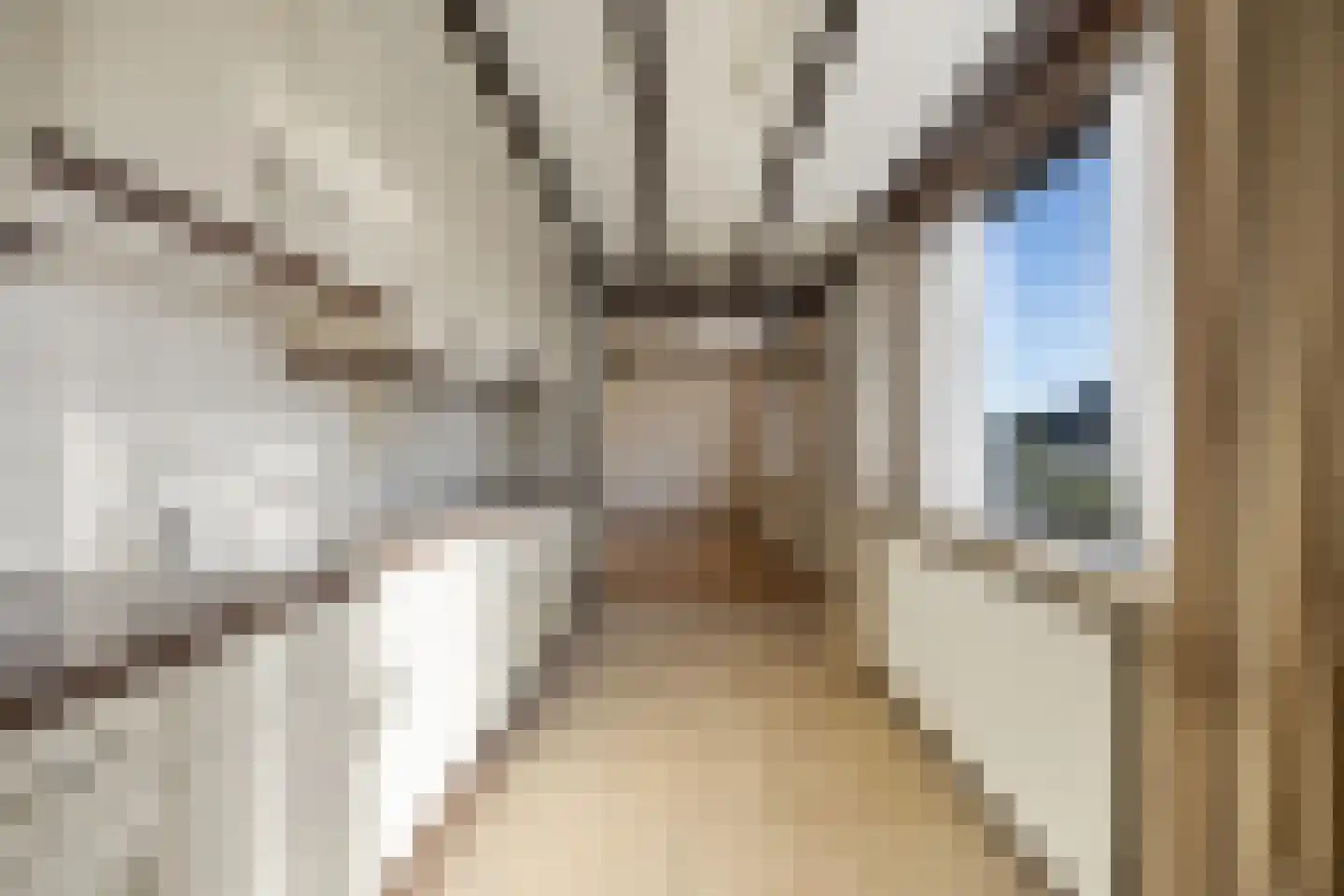 Zandsevoetpad 10 Huissen thumbnail 8