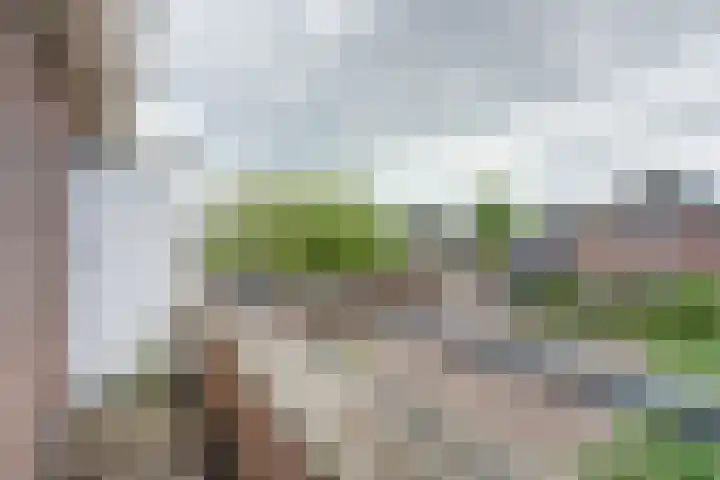 Zandsevoetpad 14 Huissen thumbnail 33