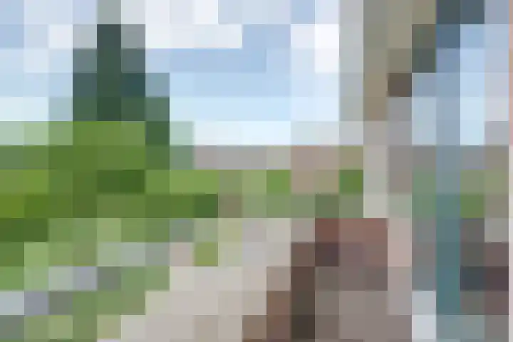 Zandsevoetpad 14 Huissen thumbnail 34