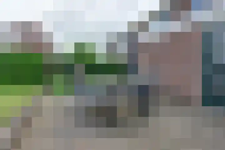 Zandsevoetpad 14 Huissen thumbnail 35