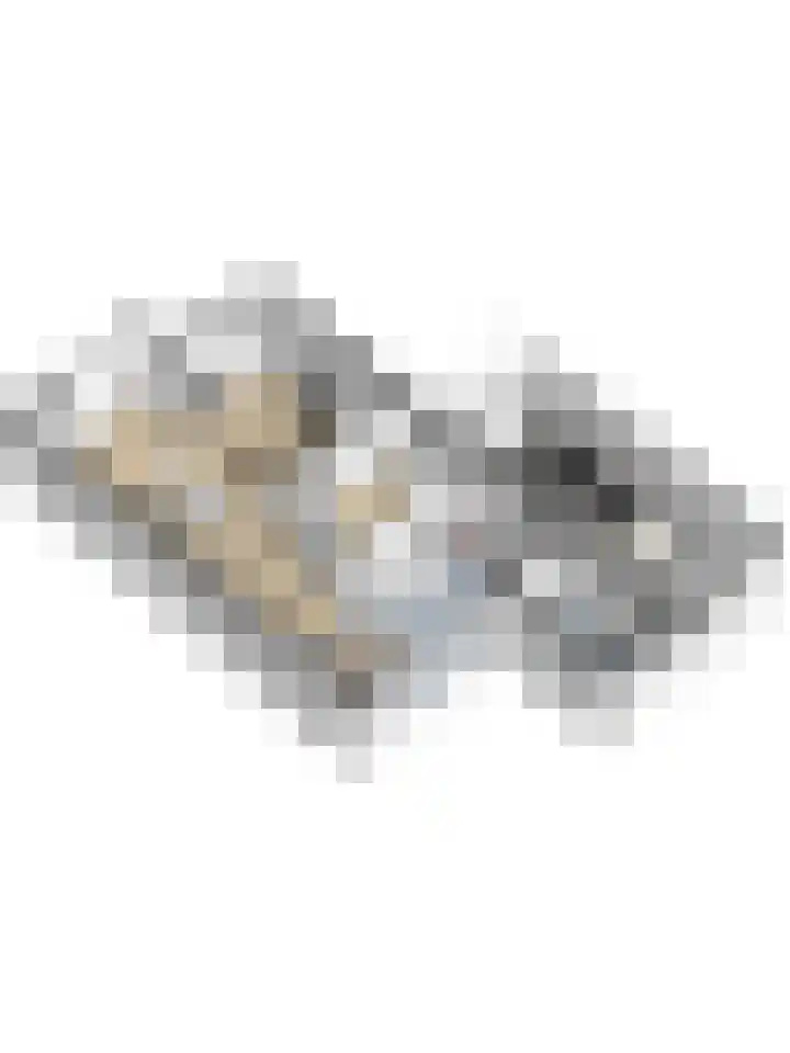 Zandsevoetpad 14 Huissen thumbnail 47