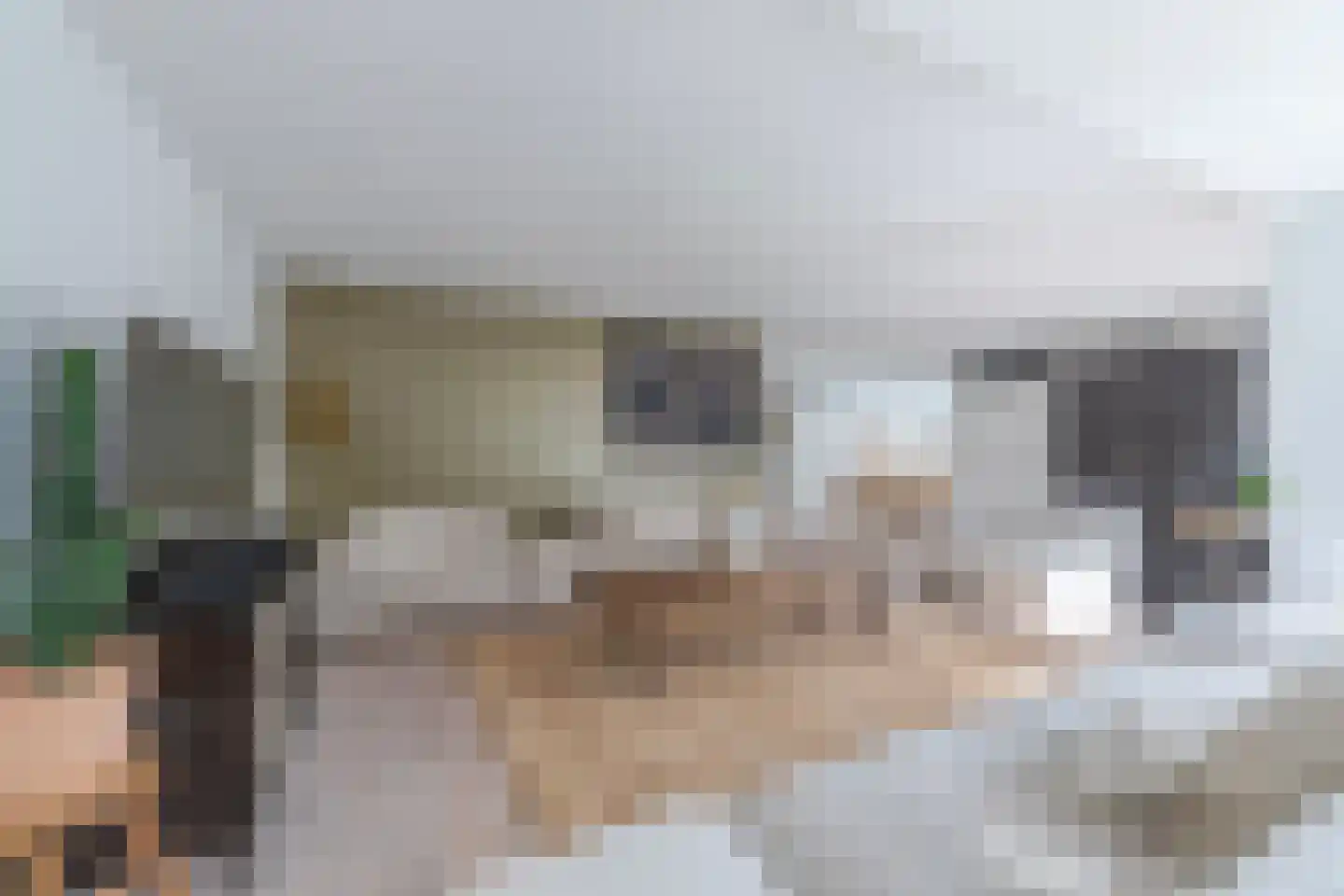 Zandsevoetpad 9 Huissen thumbnail 17