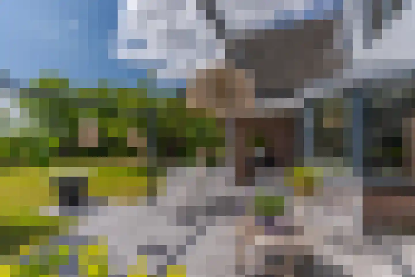 Zandsevoetpad 9 Huissen thumbnail 21