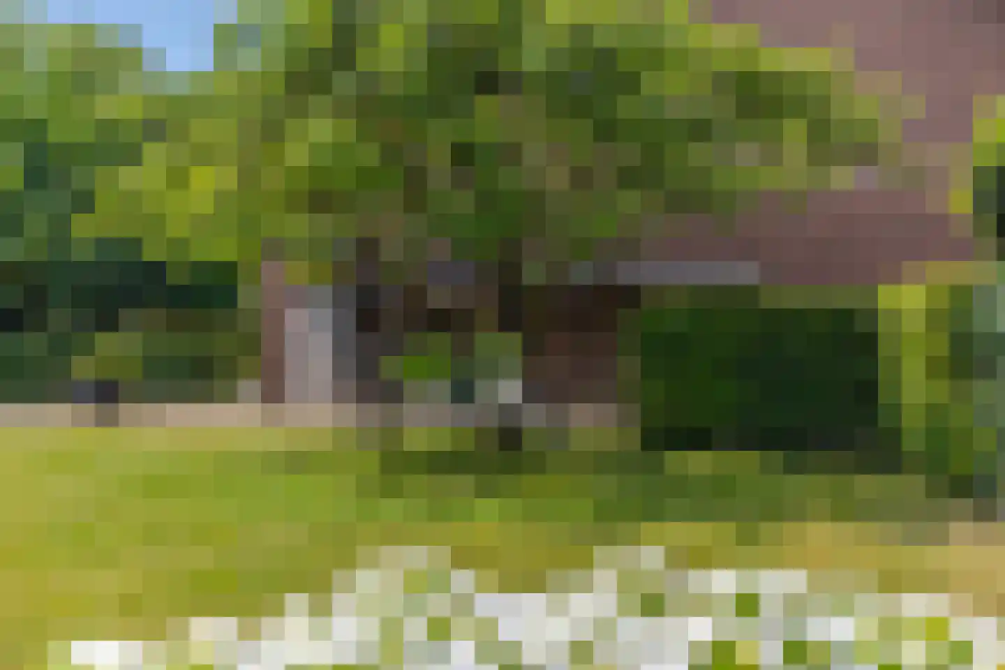 Zandsevoetpad 9 Huissen thumbnail 46