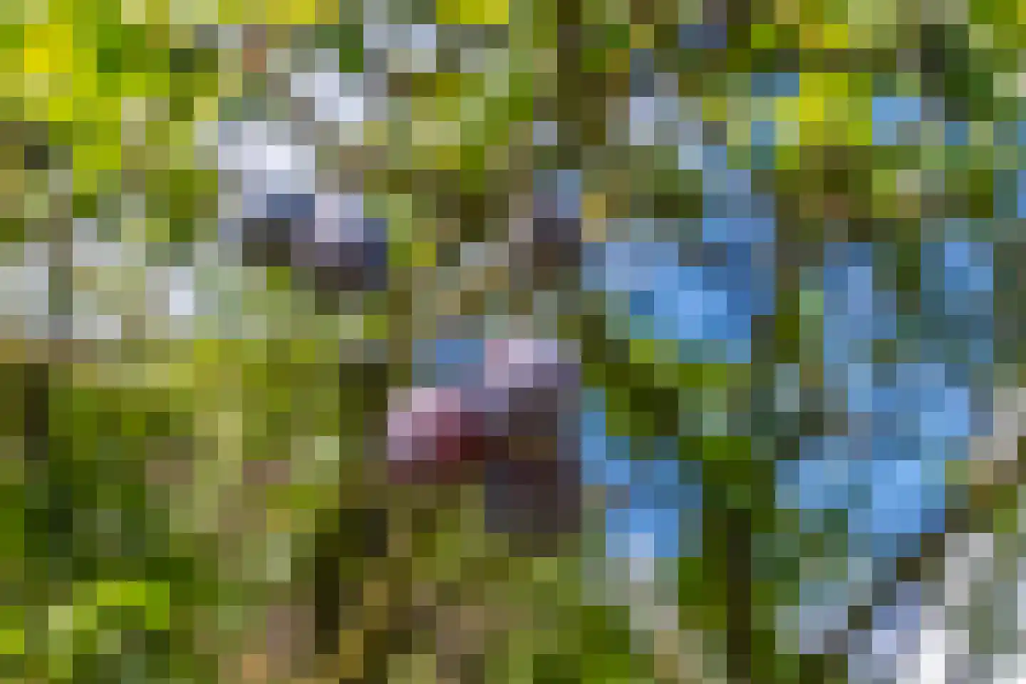 Zandsevoetpad 9 Huissen thumbnail 47