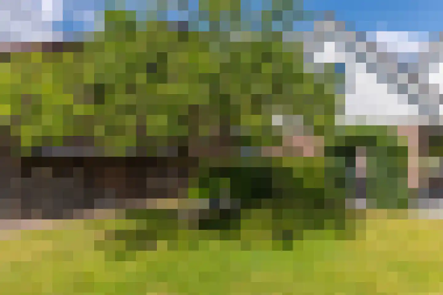 Zandsevoetpad 9 Huissen thumbnail 51