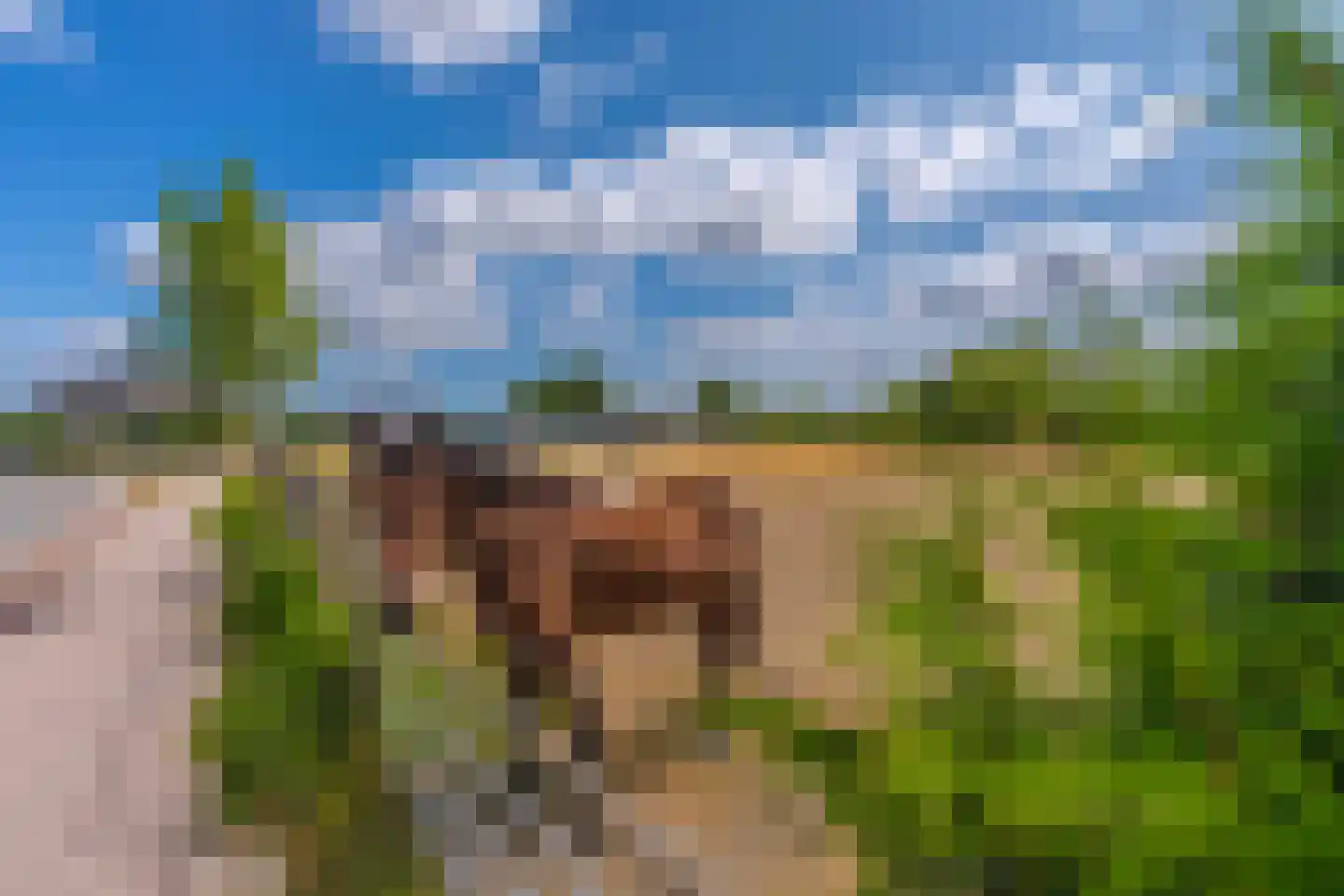 Zandsevoetpad 9 Huissen thumbnail 56