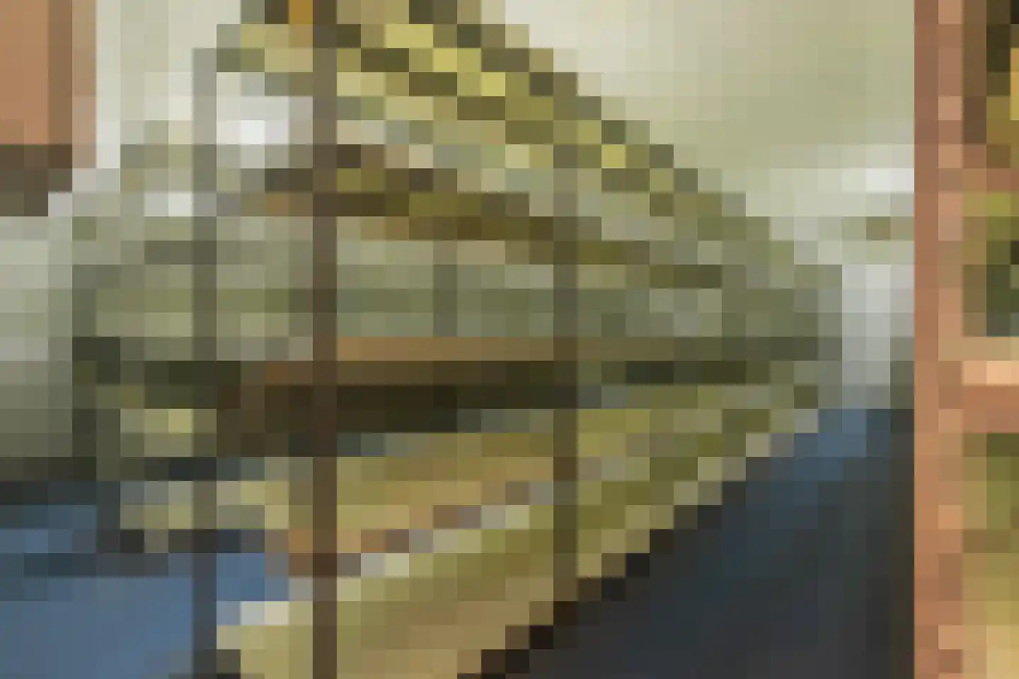 Zandsevoetpad 9 Huissen thumbnail 71
