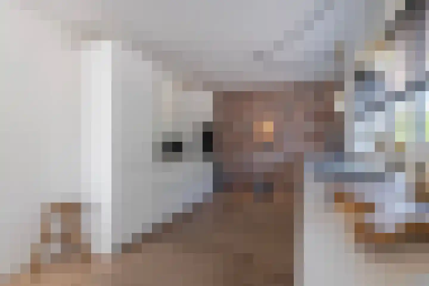 Zandsevoetpad 9 Huissen thumbnail 9