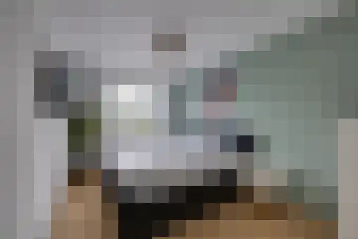 Zandslagen 3 Breda thumbnail 19