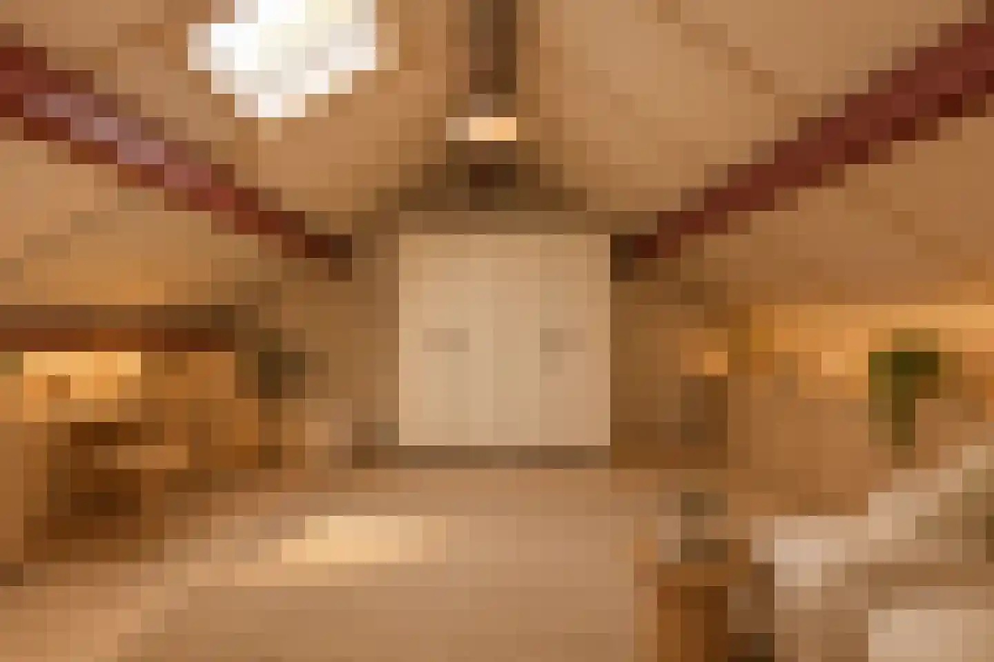 Zandslootkade 15 a Sassenheim thumbnail 27