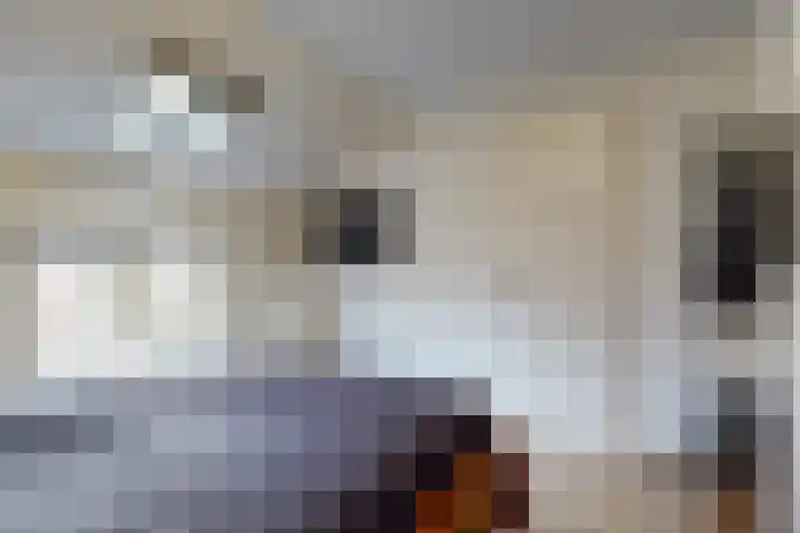 Zandslootkade 37 Sassenheim thumbnail 22