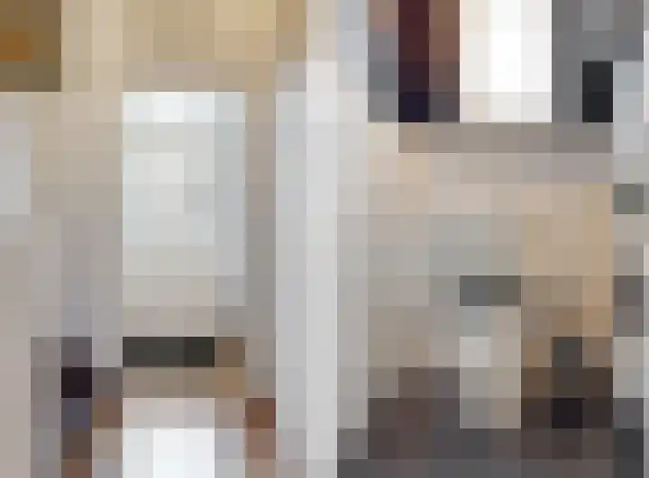 Zandslootkade 37 Sassenheim thumbnail 8