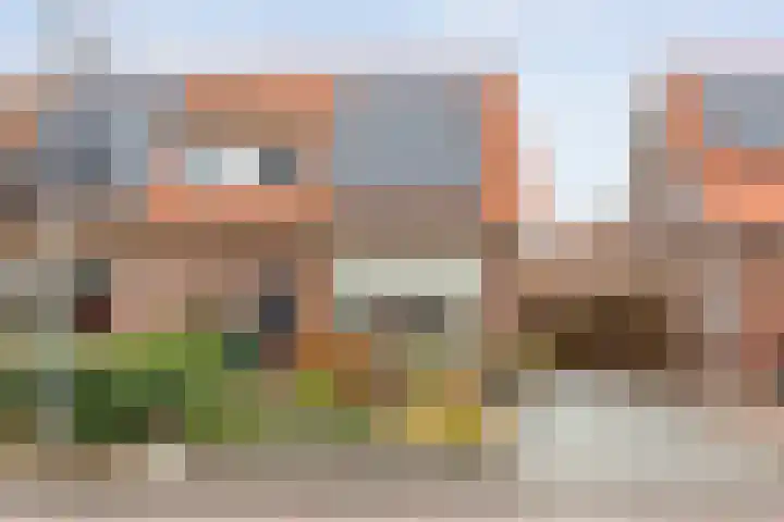Zandspeur 16 Nieuwleusen