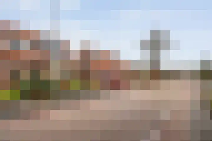 Zandspeur 16 Nieuwleusen thumbnail 10
