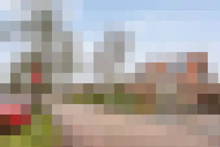 Zandspeur 16 Nieuwleusen thumbnail 11