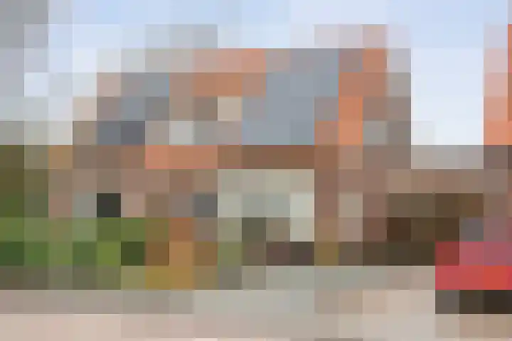 Zandspeur 16 Nieuwleusen thumbnail 12